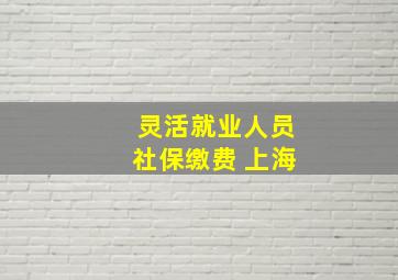 灵活就业人员社保缴费 上海